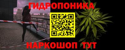spice Обнинск