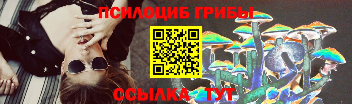 Псилоцибиновые грибы Psilocybine cubensis  Вход с VPN  Тавда 