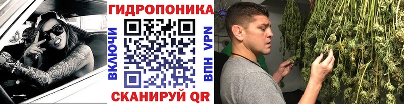 МАРИХУАНА планчик  Тавда 